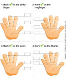 Identify Parts of Human Hand - the-human-body - Preschool