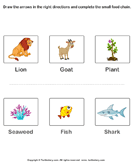 Complete the Food Chain - Fill in Arrows - food-chain - First Grade