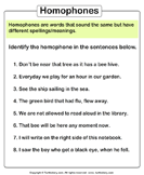 Identify Homophones in Each Sentence