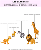 Label the Animal Pictures - animals - Kindergarten