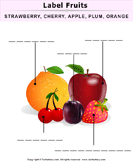 Label the Fruits and Vegetables - plants - Kindergarten