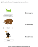 List of Herbivores Carnivores and Omnivores Animals