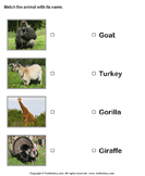 Name of Animals With Pictures