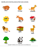 Words with Animal Names - noun - Kindergarten
