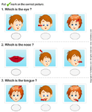 Identify Parts of Human Face - the-human-body - Preschool