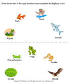 Science Food Chain Worksheets