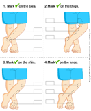 Identify Parts of Human Leg - the-human-body - Preschool