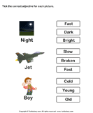 Tick Adjectives for Pictures of Night Jet Boy