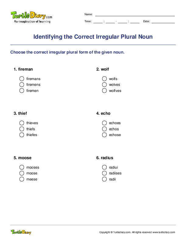 Identifying the Correct Irregular Plural Noun