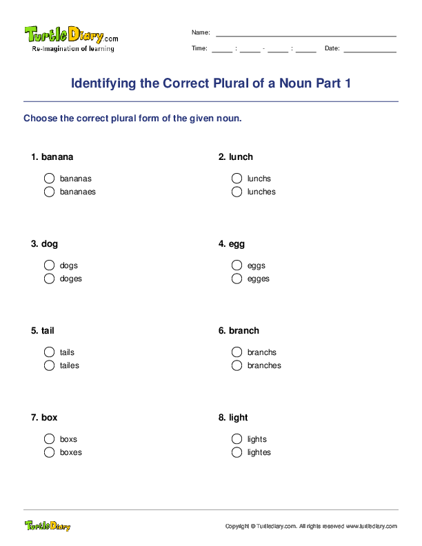 Identifying the Correct Plural of a Noun Part 1