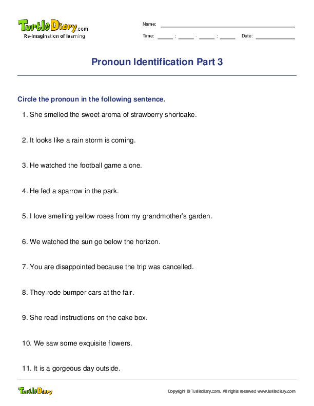 Pronoun Identification Part 3