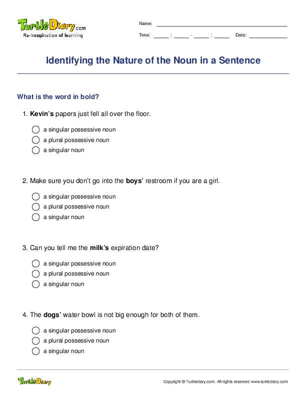 Identifying the Nature of the Noun in a Sentence
