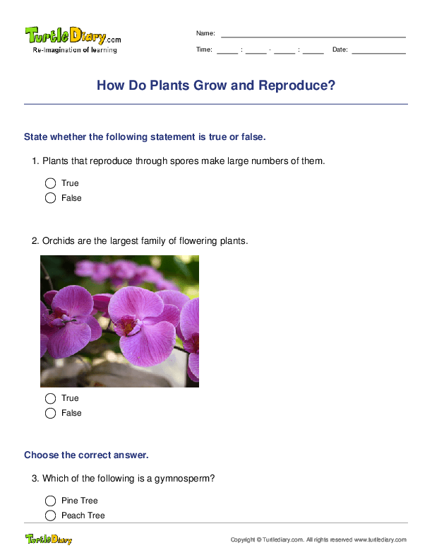 How Do Plants Grow and Reproduce?