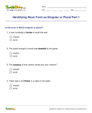 Identifying Noun Form as Singular or Plural Part 1 - noun - Third Grade