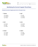Identifying the Correct Irregular Plural Noun - noun - Second Grade