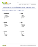 Identifying the Correct Opposite Gender of a Noun Part 1 - noun - First Grade
