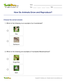 How Do Animals Grow and Reproduce? - animals - Fourth Grade