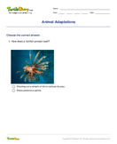 Animal Adaptations - biology - Second Grade