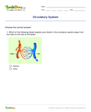 Circulatory System - biology - Fifth Grade