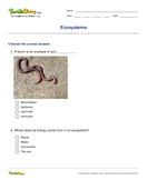 Ecosystems - biology - Fourth Grade