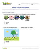 Energy Flow In Ecosystems - biology - Fourth Grade