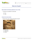 What Are Fossils? - biology - Fifth Grade