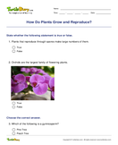 How Do Plants Grow and Reproduce? - plants - Third Grade